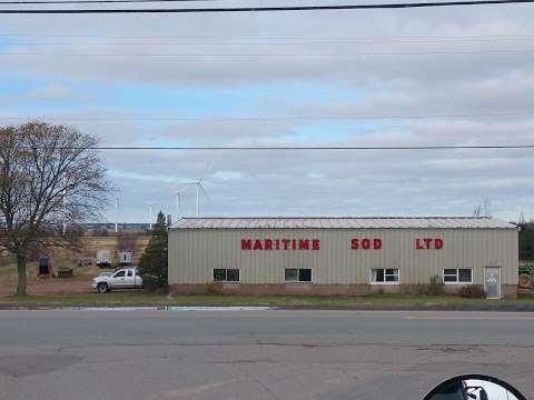 Maritime Sod Ltd